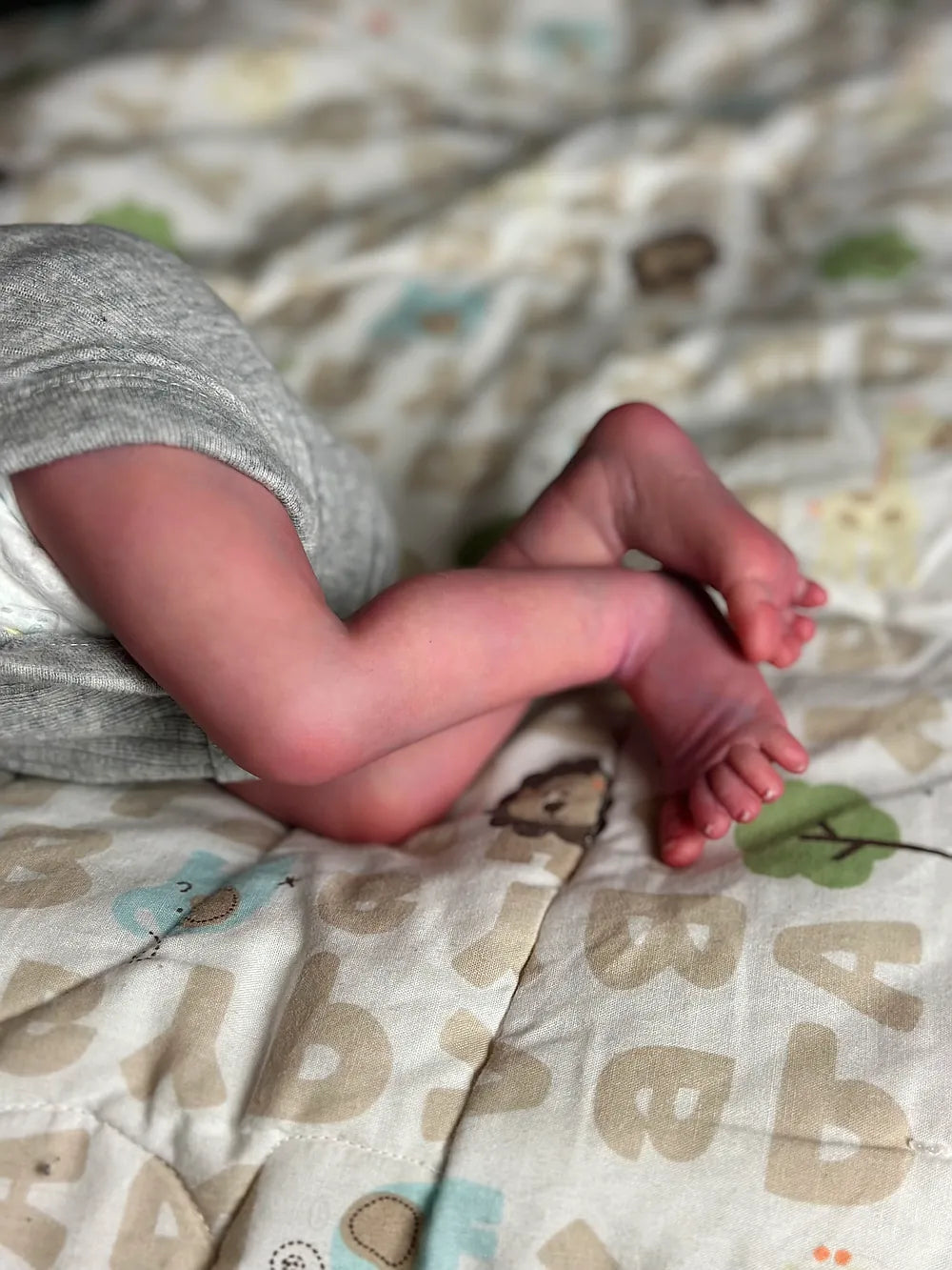 Muñeca Reborn Realista Liz niña 45cm y 1.700kg