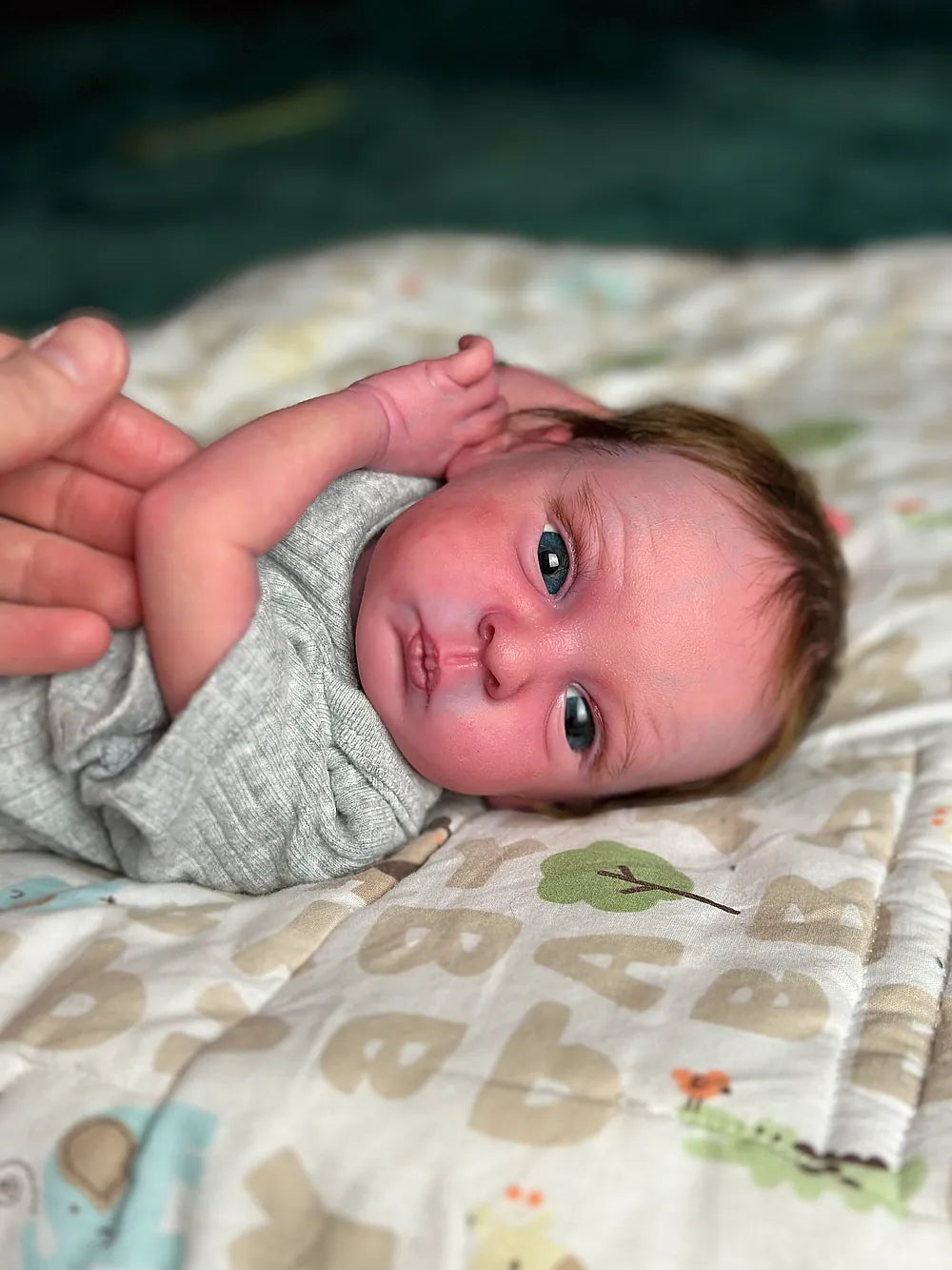 Muñeca Reborn Realista Liz niña 45cm y 1.700kg